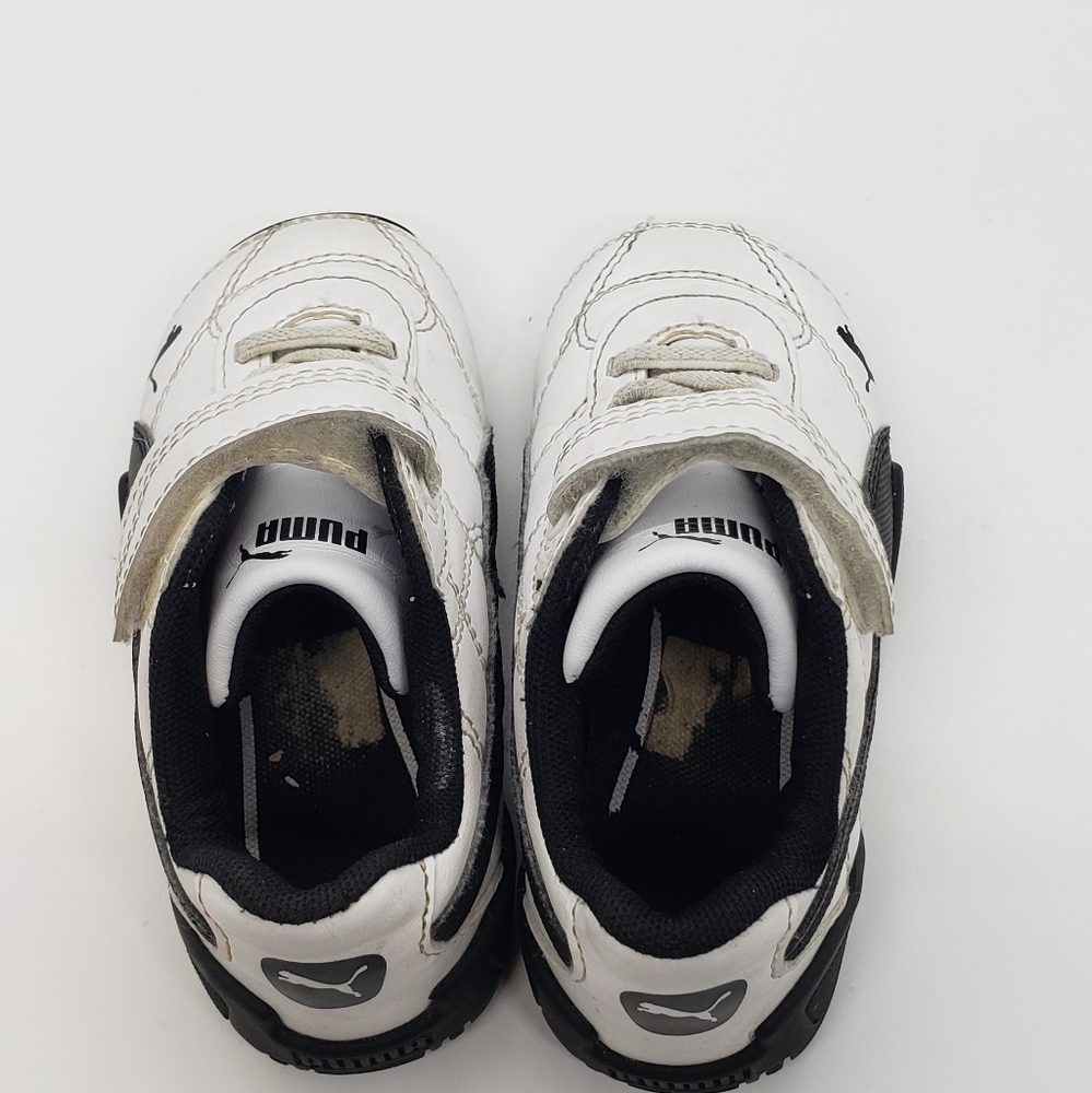 Pumas - Picture 8 of 9